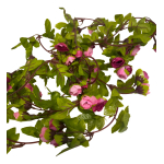 Guirnalda De Enredadera Rosas Artificial Pequeñas - Imagen 5