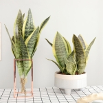 Planta Espada San Jorge Artificial 2 Hojas 40cm - Imagen 6