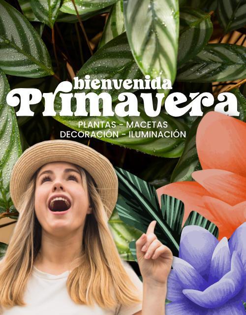 slider2-mobile-primavera-2025