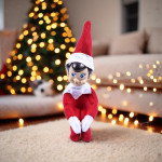 Elfo Navideño Muñeco Duende Decoración 31cm - Imagen 4