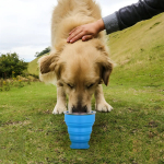 Vaso De Silicona Plegable Con Tapa Libre Bpa - Imagen 5